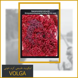لیکویید طبیعی کرم خونی VOLGA (ارسال رایگان)