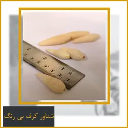 شناور ماهیگیری کرف بی رنگ دستساز