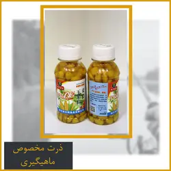 طعمه ذرت ماهیگیری با طعم ماندگار و قوی