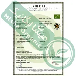 زیتون وکیوم کنسروالیا درجه یک فدک 1400 گرمی - میشا ارگانیک