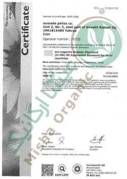 کشمش پلویی درجه یک ارگانیک بیونیک 500 گرمی | میشا ارگانیک