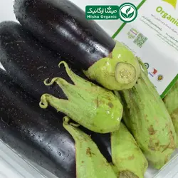 قیمت و خرید بادمجان تازه باغ ارگانیک سدرا 1کیلویی - میشا ارگانیک