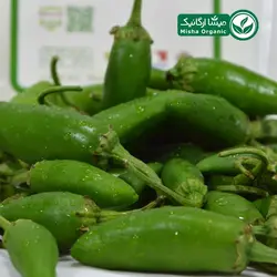 قیمت و خرید فلفل شیرین تازه باغ ارگانیک سدرا 200 گرمی - میشا ارگانیک