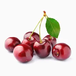 تغذیه گیلاس های آلی
