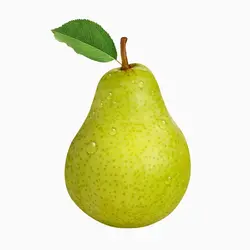 گلابی کره شمالی