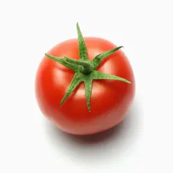 مواد مغذی گوجه فرنگی ارگانیک