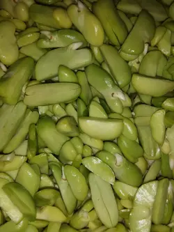 باقلا دوپوست شده
