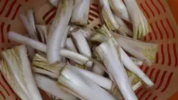 کنگر پاک شده