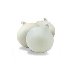 پیاز سفید