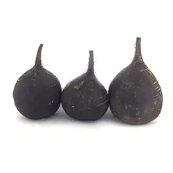 ترب سیاه