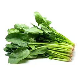 اسفناج