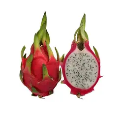 دراگون