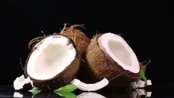 نارگیل آفریقایی