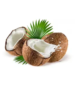 نارگیل هندی