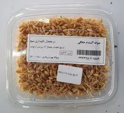 جوانه گندم خانگی (120 گرمی)