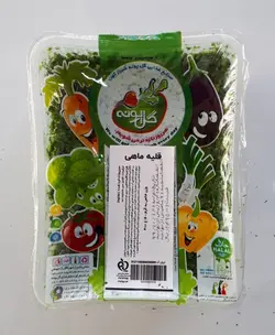 سبزی قلیه ماهی (400 گرمی)