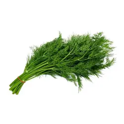 شوید (پاک نشده)