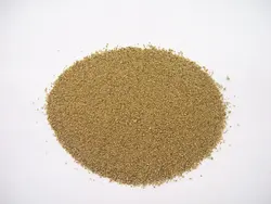 زیره سبز پودر (بسته 200 گرمی)