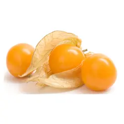 فیسالیس (100 تا 110 گرم)