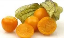 فیسالیس (100 تا 110 گرم)