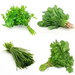 سبزی آش (پاک نشده)