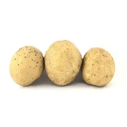 سیب زمینی