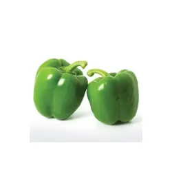 فلفل دلمه سبز (500 گرمی)