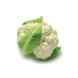 گل کلم