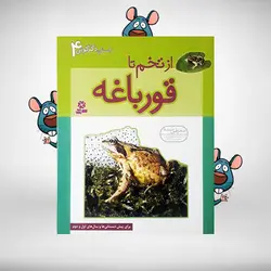 از تخم تا قورباغه – مجموعه‌ی داستان دگرگونی (۴)