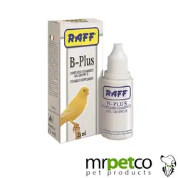Raff_B-plus