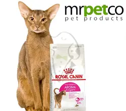 royal -exigent arona cat-4kgغذا