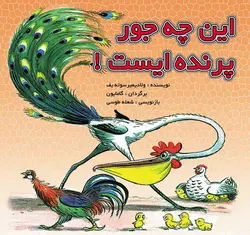 گربه ماهی گیر / قصه ها و تصویرها