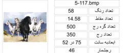 نقشه کدی،k5-117