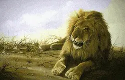 نقشه سنتی،s5-36