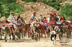 نقشه عددی تابلو فرش،k1-128