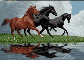 نقشه عددی تابلوفرش آموزشی،k15-64