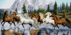 نقشه عددی تابلوفرش،k5-703