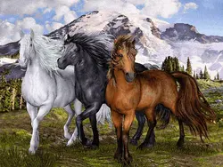 نقشه سنتی،s5-120