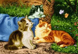 نقشه سنتی،s5-72