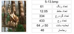 نقشه کدی جانوران،k5-13