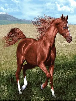 فایل طرح جانوران ff15