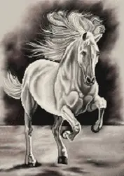 نقشه عددی تابلو فرش اسب،k15-51