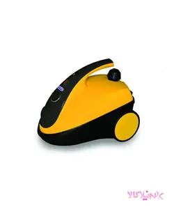 بخار شوی 2400 وات دلمونتی مدل Delmonti DL200