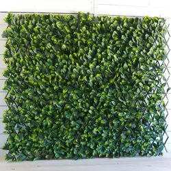 دیوار سبز آکاردئونی