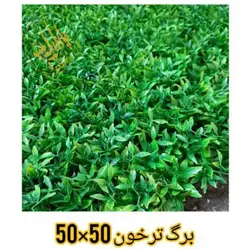 گرین وال ترخون