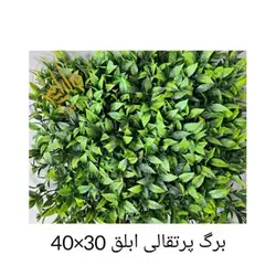 گرین وال پرتقالی ابلق | خرید و قیمت گرین وال پرتقالی ابلق