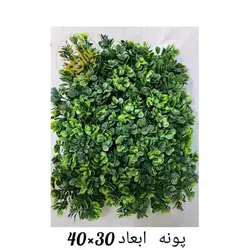گرین وال پونه