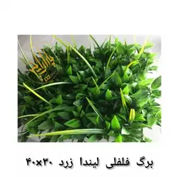 گرین وال فلفلی لیندا زرد