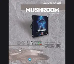 آلبوم کاغذ دیواری ماشروم (mushroom)