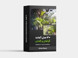 دانلود 30 آبجکت گیاهان و گلدان داخلی - Interior Pot Plants